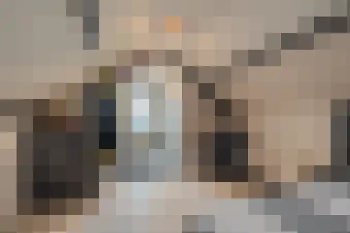 Iepenlaan 18 Alteveer thumbnail 37