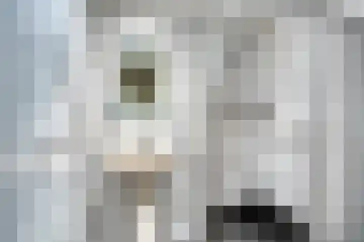 Iepenlaan 18 Bunde thumbnail 33