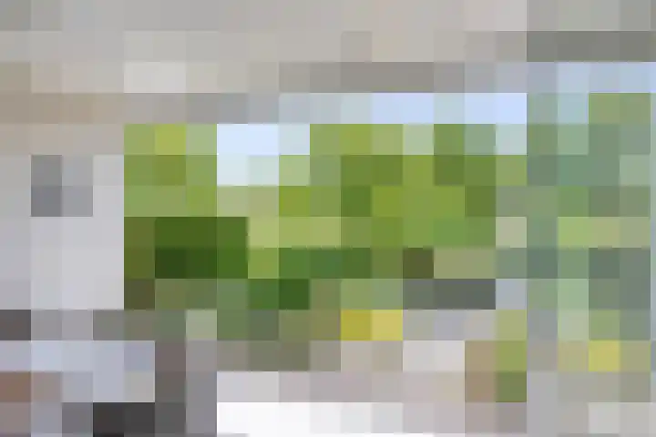 Iepenlaan 18 Bunde thumbnail 35