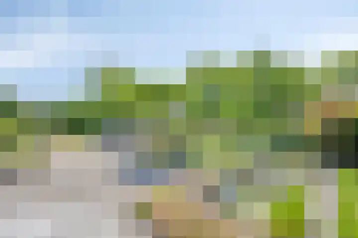 Iepenlaan 18 Bunde thumbnail 38