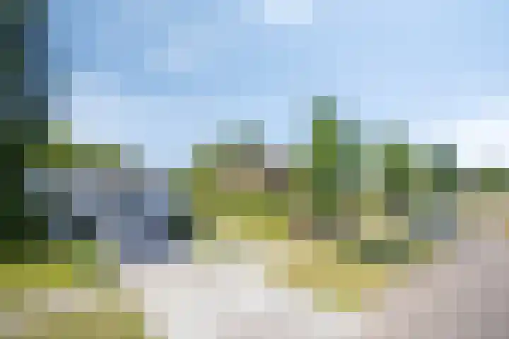 Iepenlaan 18 Bunde thumbnail 4