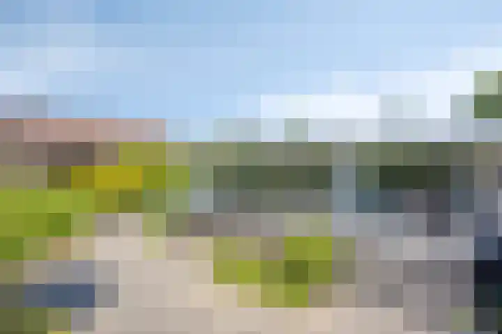 Iepenlaan 18 Bunde thumbnail 42