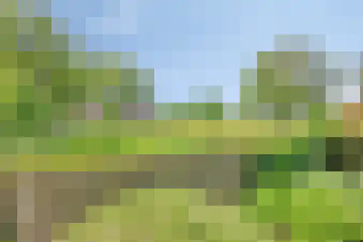 Iepenlaan 18 Bunde thumbnail 44