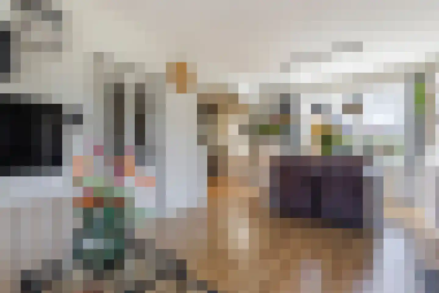 Iepenlaan 19 Ameide thumbnail 13