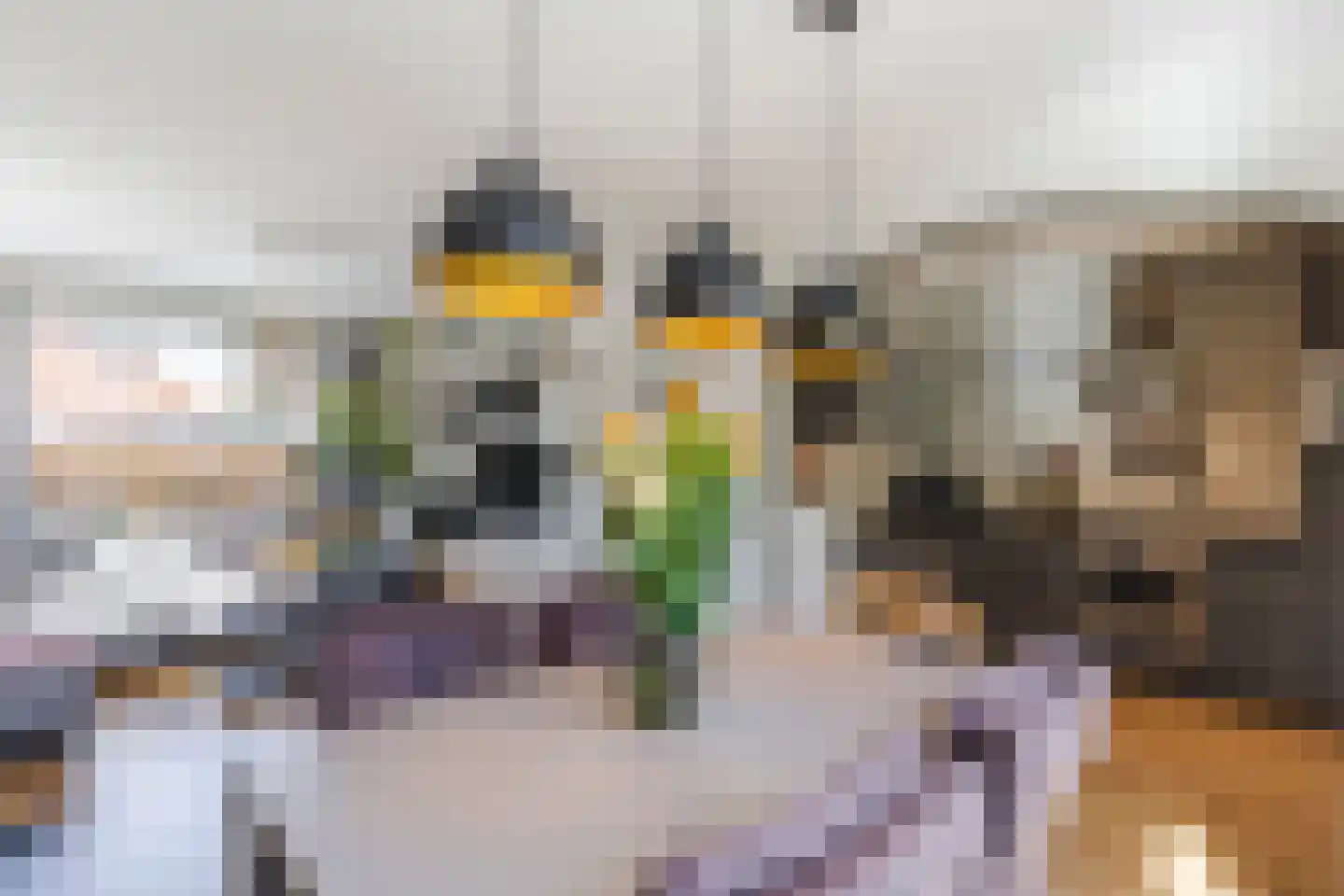 Iepenlaan 19 Ameide thumbnail 17