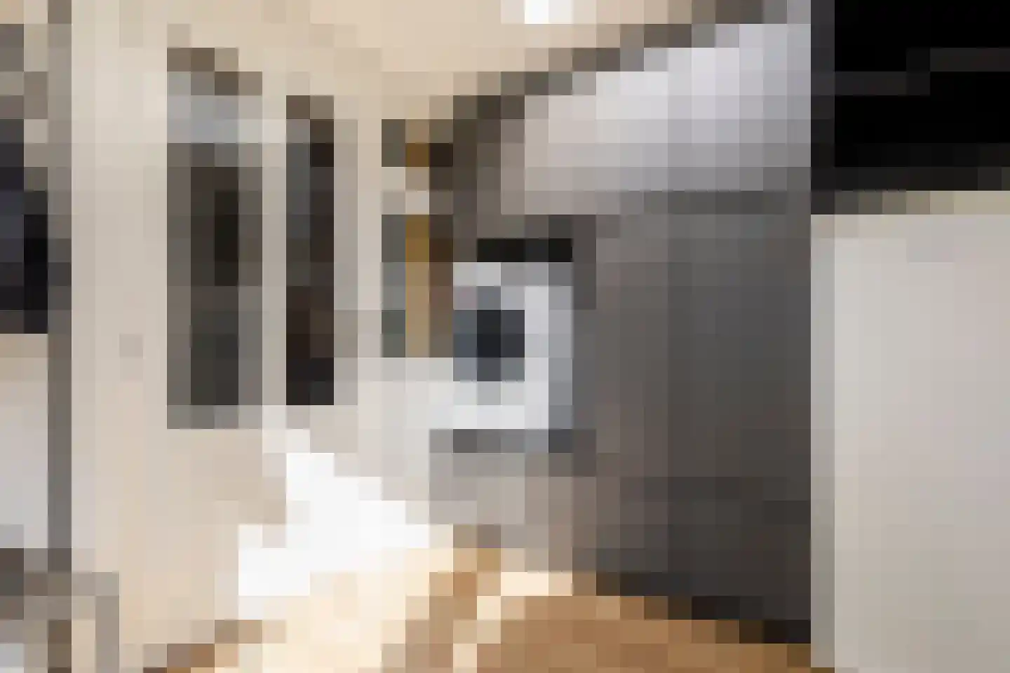 Iepenlaan 19 Ameide thumbnail 18