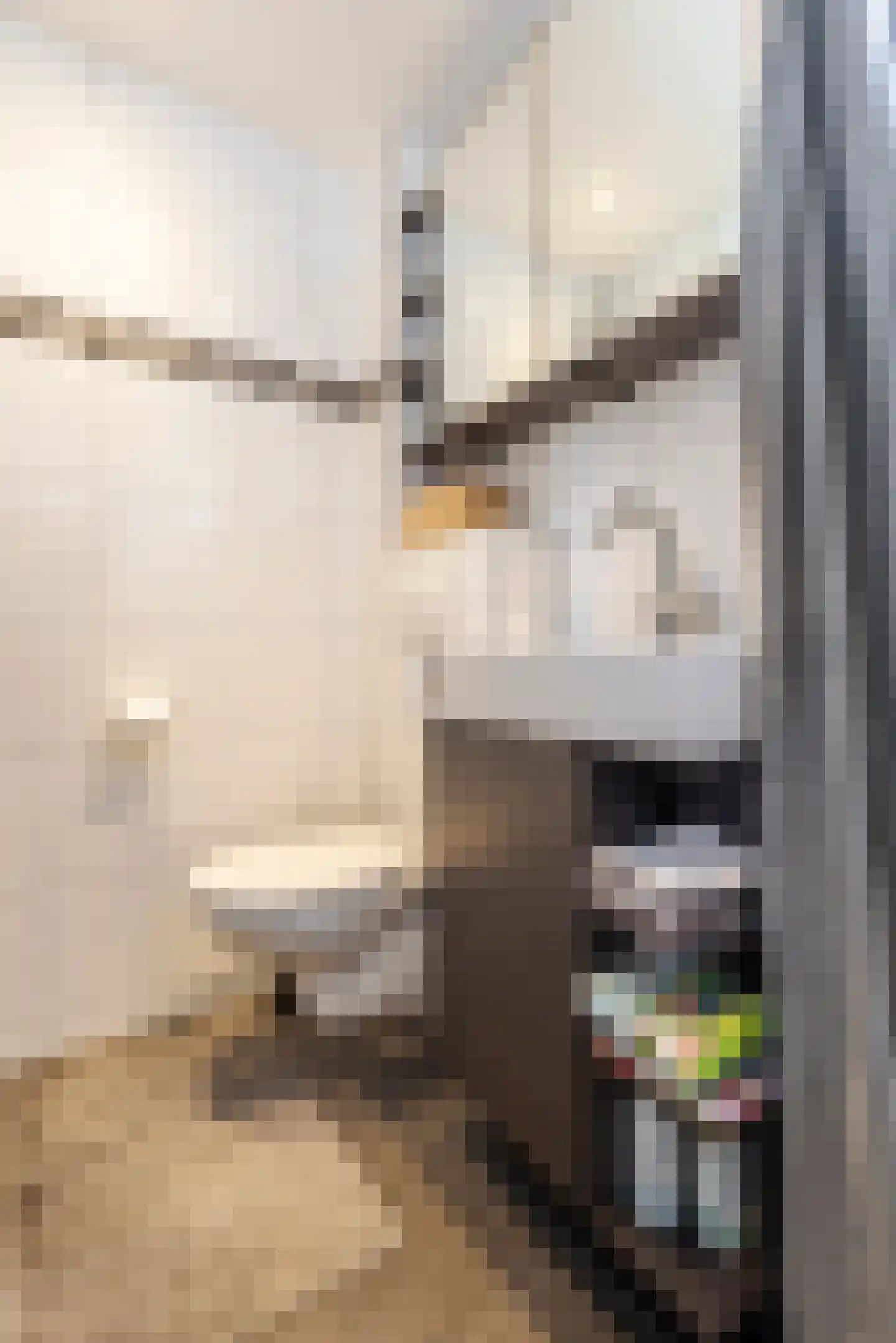 Iepenlaan 19 Ameide thumbnail 26