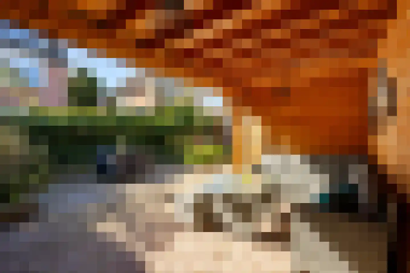 Iepenlaan 19 Ameide thumbnail 31