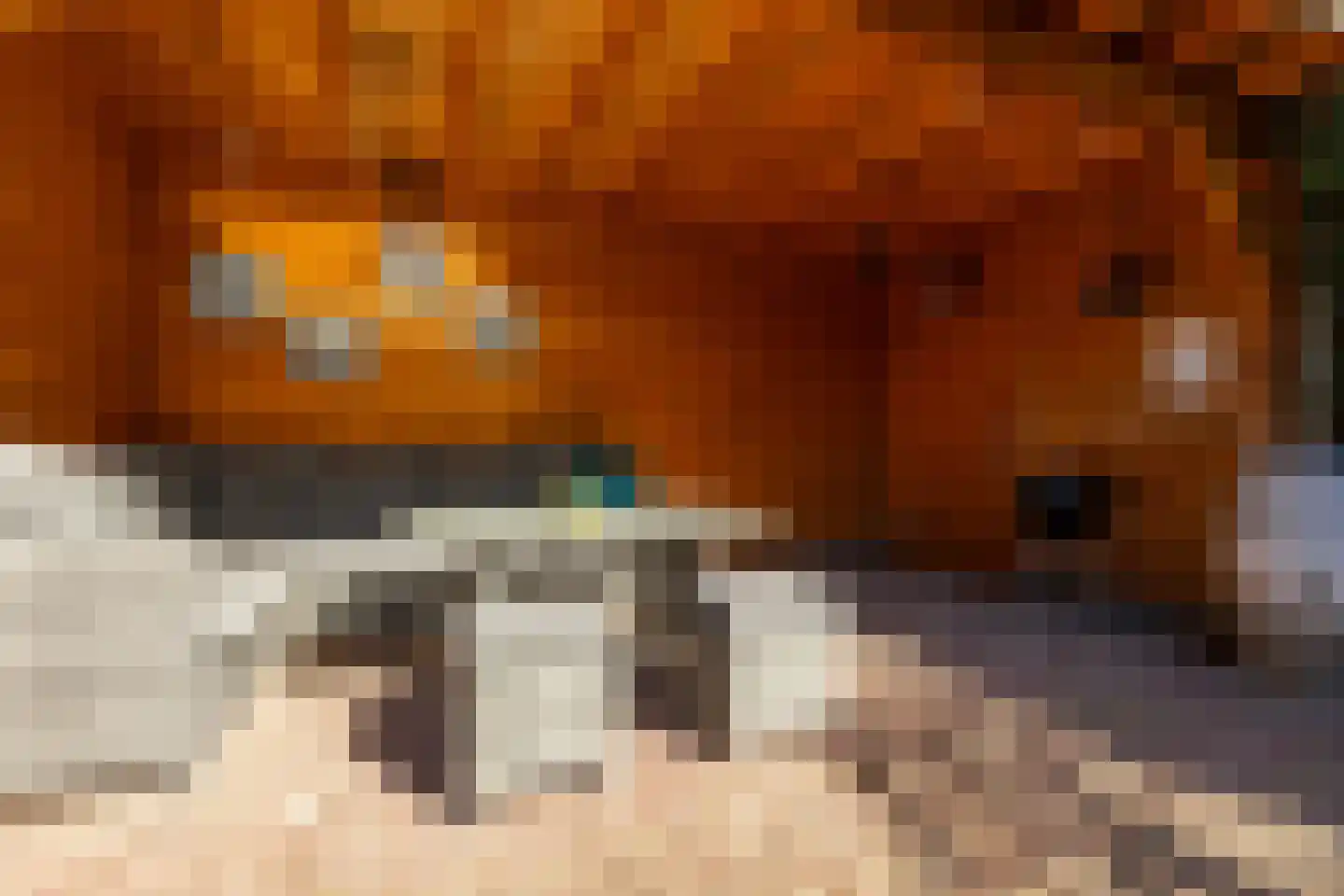 Iepenlaan 19 Ameide thumbnail 32