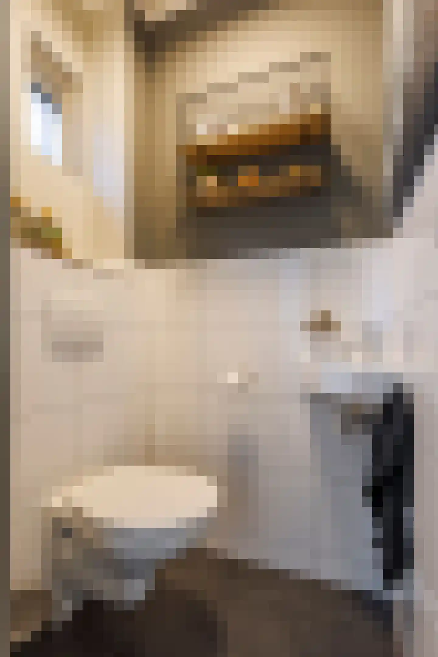 Iepenlaan 19 Ameide thumbnail 8
