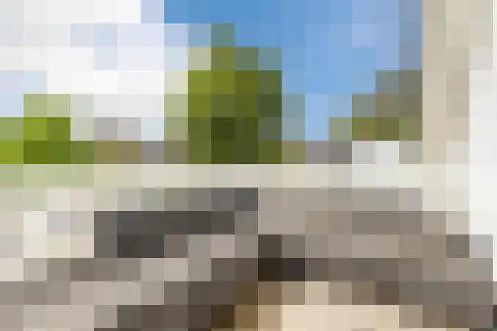 Iepenlaan 19 Bussum thumbnail 19