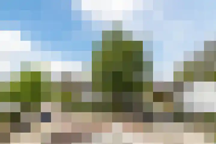 Iepenlaan 19 Bussum thumbnail 20