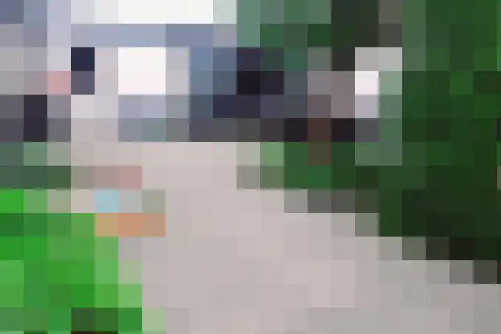 Iepenlaan 19 Bussum thumbnail 27
