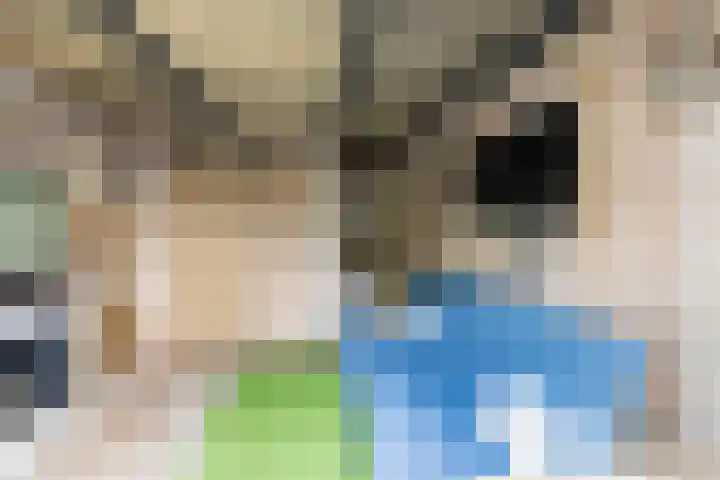 Iepenlaan 19 Bussum thumbnail 29