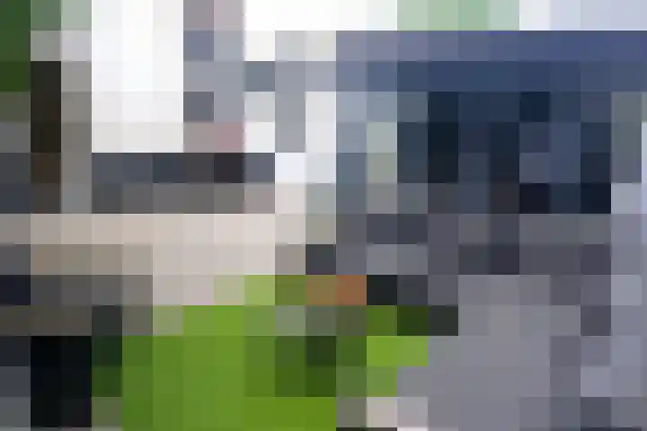 Iepenlaan 19 Bussum thumbnail 32
