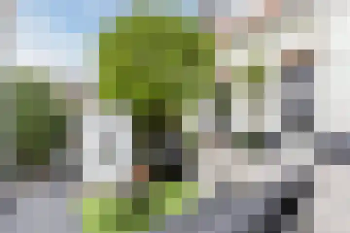 Iepenlaan 19 Bussum thumbnail 33