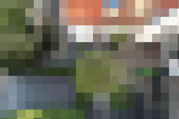 Iepenlaan 19 Bussum thumbnail 34