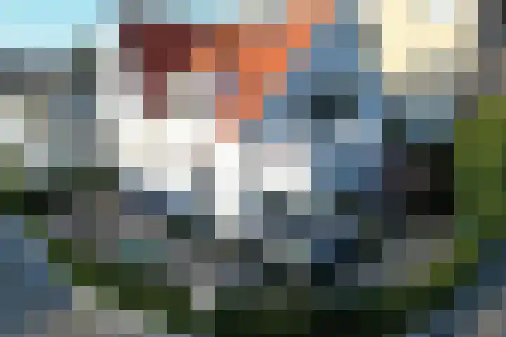 Iepenlaan 19 Bussum thumbnail 39