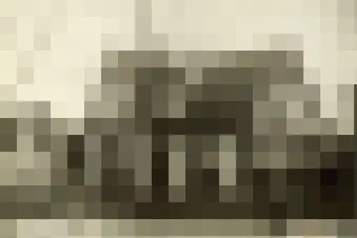 Iepenlaan 19 Bussum thumbnail 40
