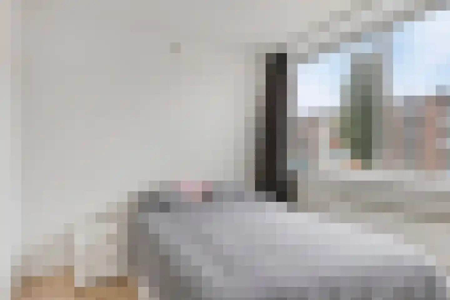 Iepenlaan 19 Groningen thumbnail 15