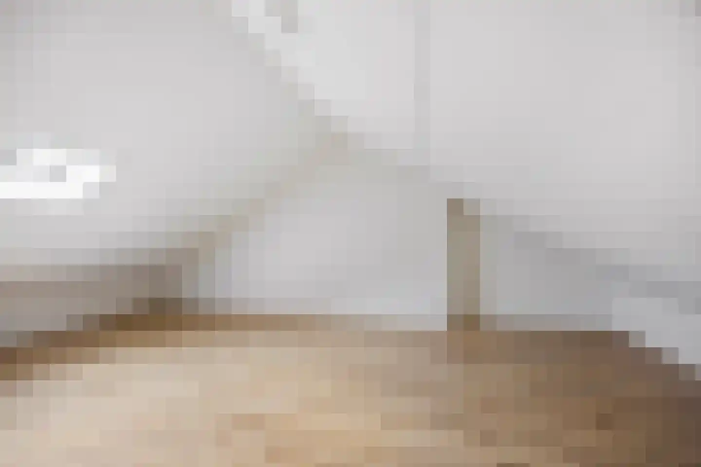 Iepenlaan 19 Groningen thumbnail 21