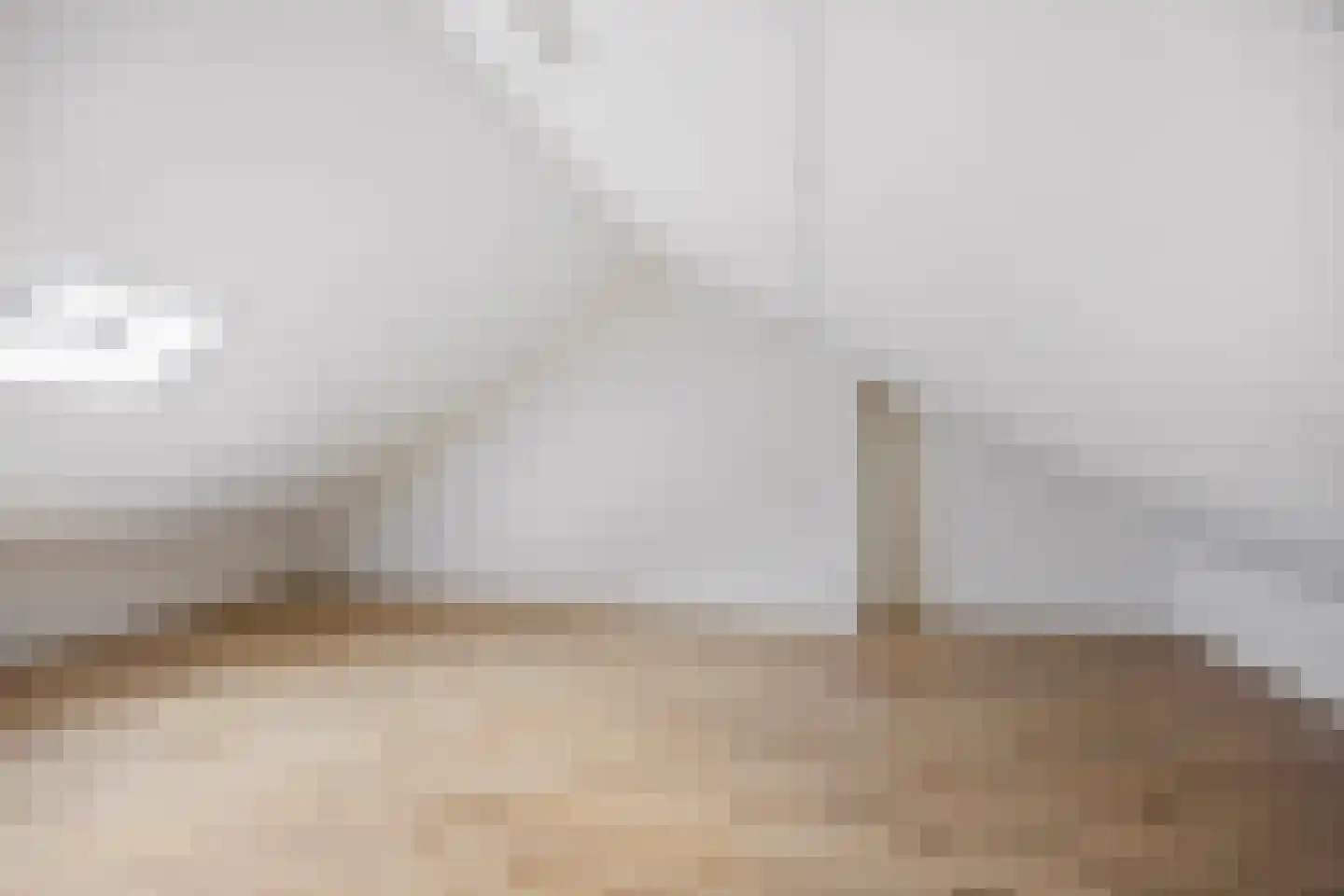 Iepenlaan 19 Groningen thumbnail 22