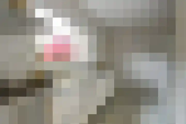 Iepenlaan 19 Zuid-Scharwoude thumbnail 13