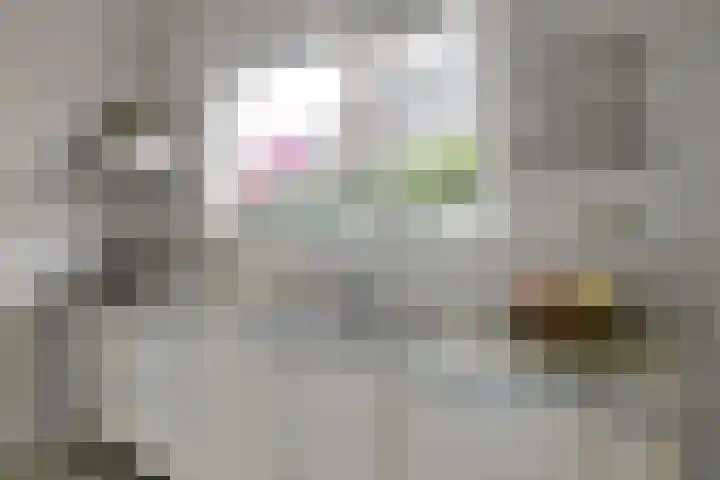 Iepenlaan 19 Zuid-Scharwoude thumbnail 16