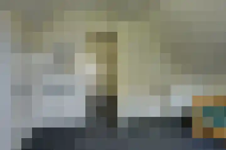 Iepenlaan 19 Zuid-Scharwoude thumbnail 28