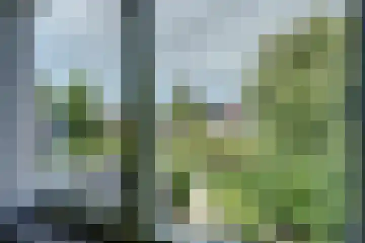 Iepenlaan 19 Zuid-Scharwoude thumbnail 31