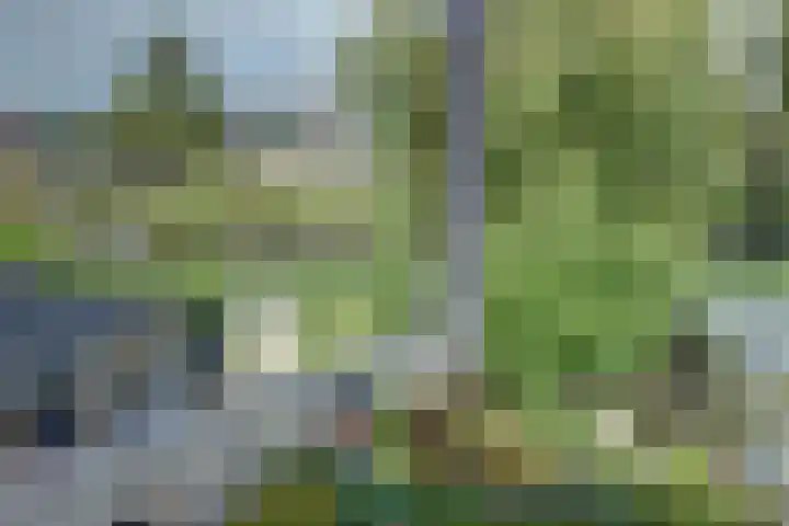 Iepenlaan 19 Zuid-Scharwoude thumbnail 32