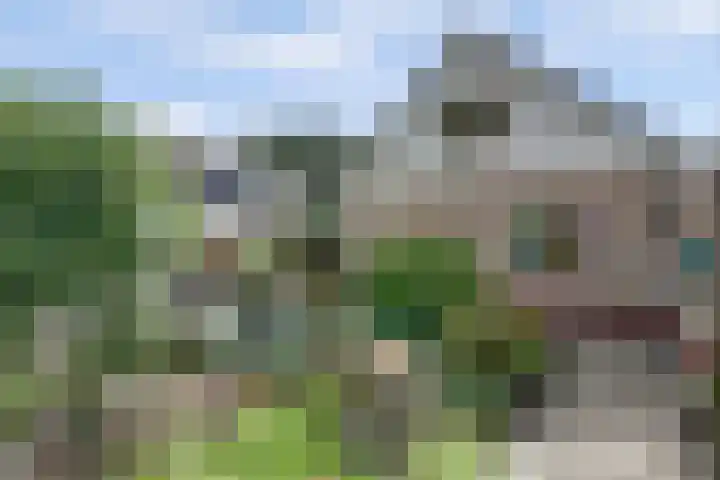 Iepenlaan 19 Zuid-Scharwoude thumbnail 35