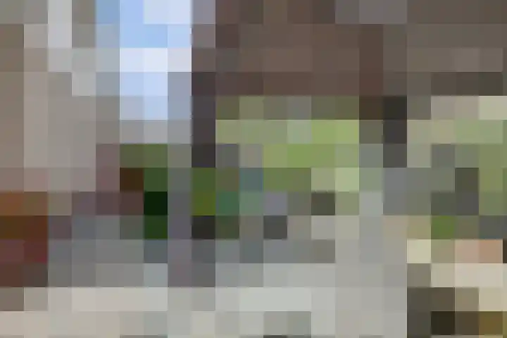 Iepenlaan 19 Zuid-Scharwoude thumbnail 38