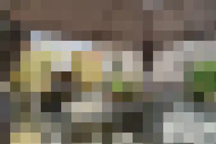 Iepenlaan 19 Zuid-Scharwoude thumbnail 39