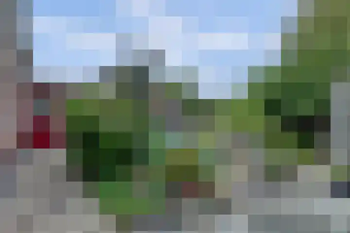 Iepenlaan 19 Zuid-Scharwoude thumbnail 40