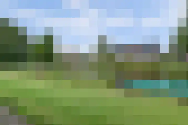 Iepenlaan 19 Zuid-Scharwoude thumbnail 41