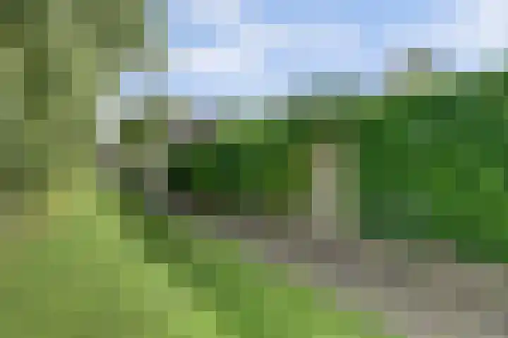 Iepenlaan 19 Zuid-Scharwoude thumbnail 42
