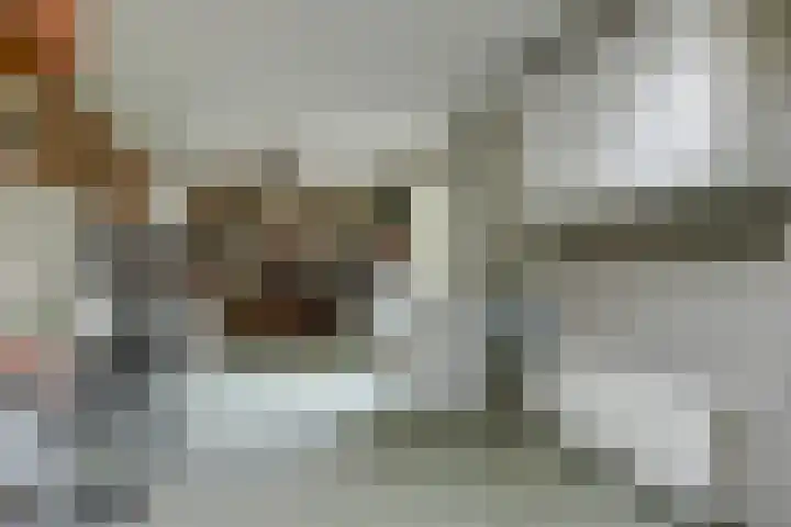 Iepenlaan 19 Zuid-Scharwoude thumbnail 44