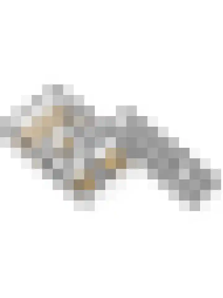 Iepenlaan 19 Zuid-Scharwoude thumbnail 49