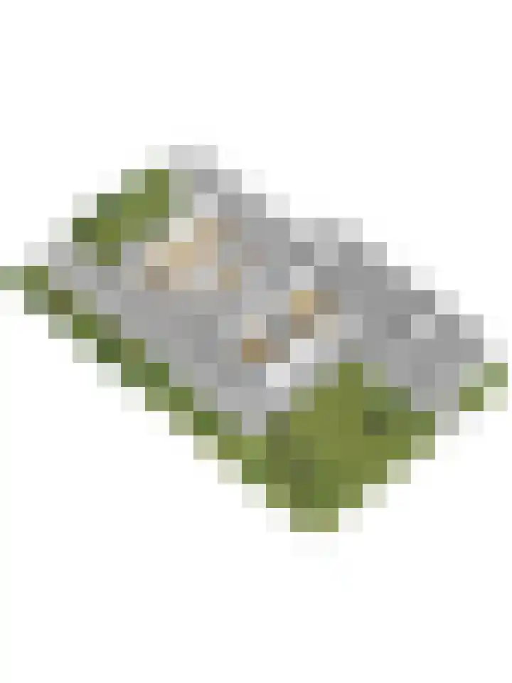 Iepenlaan 19 Zuid-Scharwoude thumbnail 51