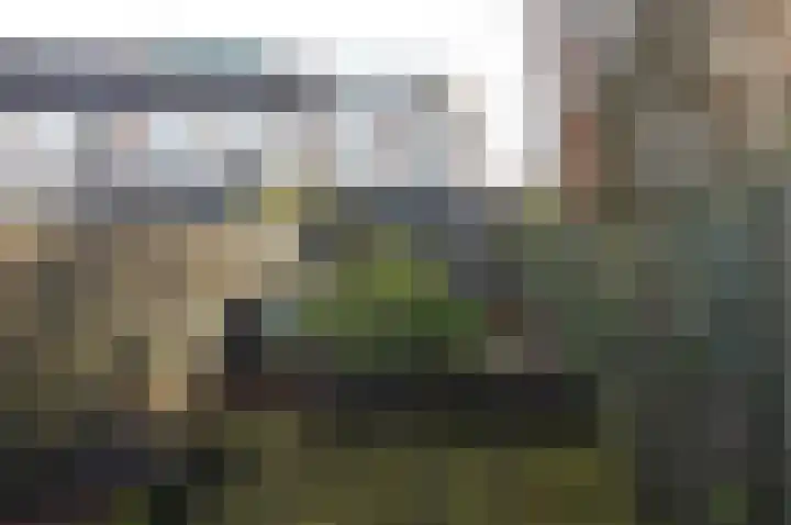 Iepenlaan 198 Bussum thumbnail 20