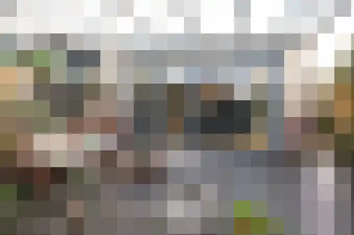 Iepenlaan 198 Bussum thumbnail 21