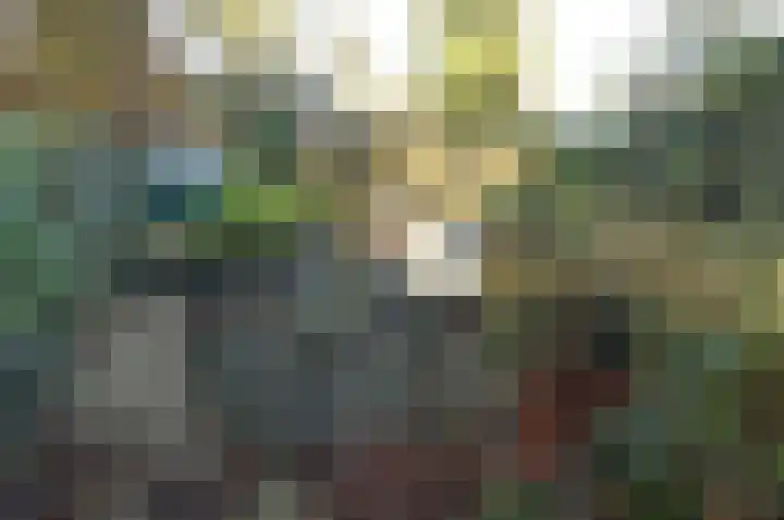 Iepenlaan 198 Bussum thumbnail 22