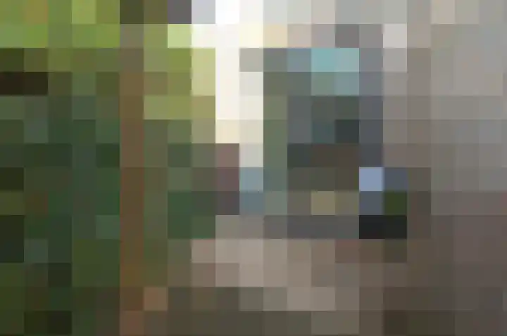 Iepenlaan 198 Bussum thumbnail 24