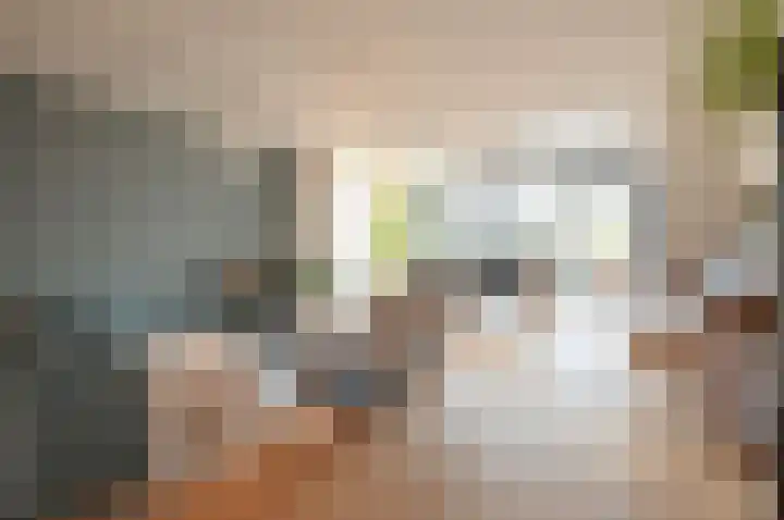 Iepenlaan 198 Bussum thumbnail 5