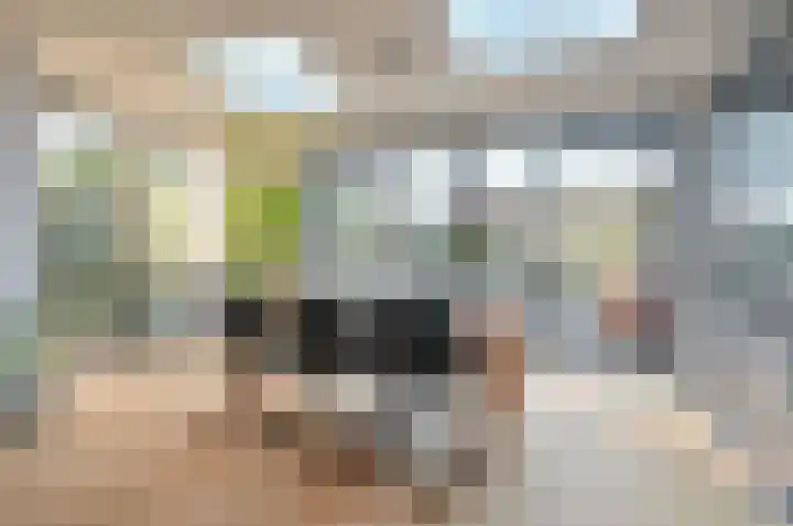 Iepenlaan 198 Bussum thumbnail 6