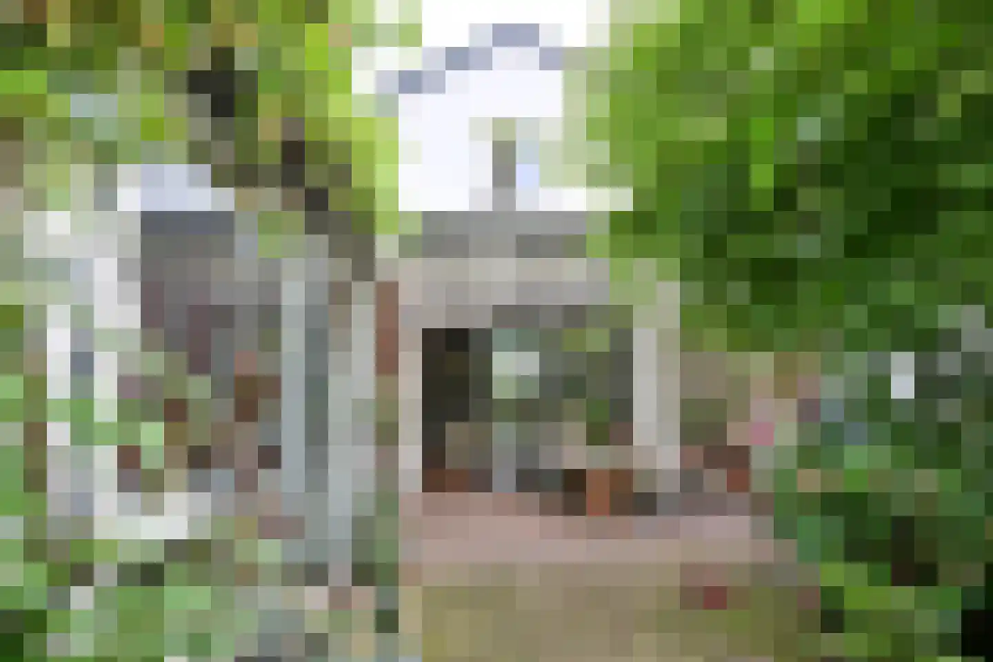 Iepenlaan 2 B Bussum thumbnail 15
