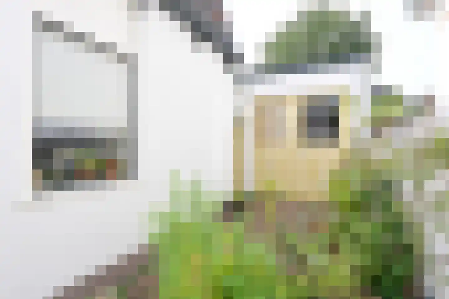 Iepenlaan 2 B Bussum thumbnail 17