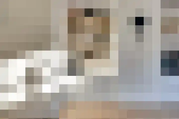 Iepenlaan 2 D Spijkenisse thumbnail 12