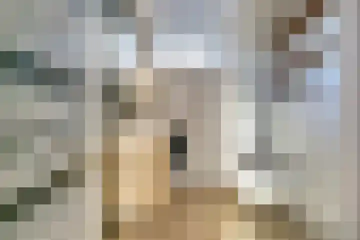 Iepenlaan 2 D Spijkenisse thumbnail 15